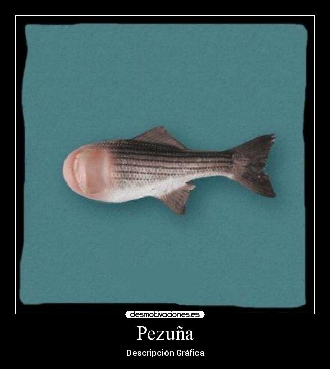 Pezuña - 