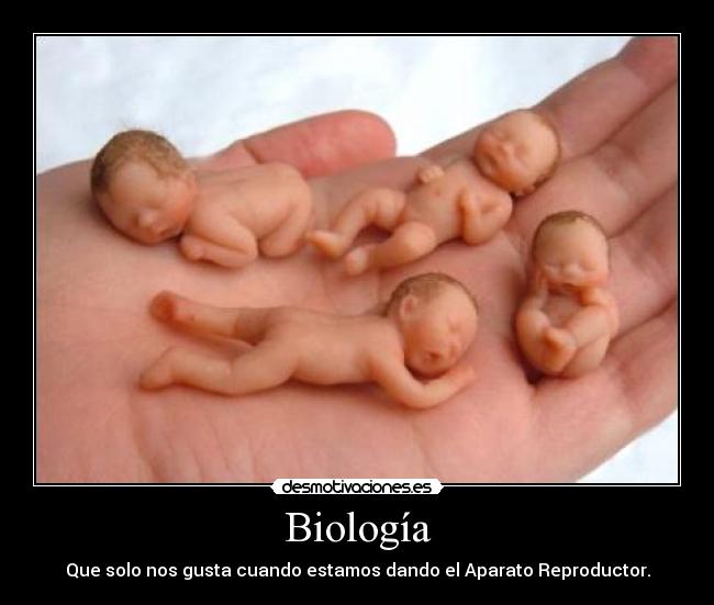 Biología - Que solo nos gusta cuando estamos dando el Aparato Reproductor.