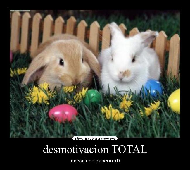 desmotivacion TOTAL - 