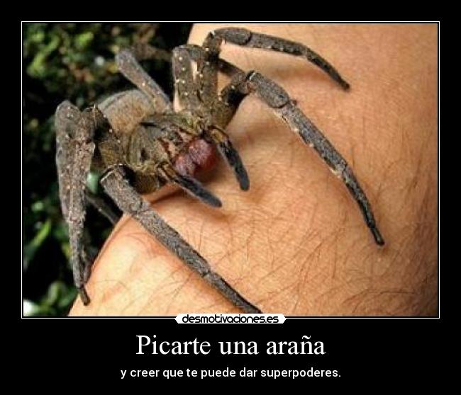 Picarte una araña -
