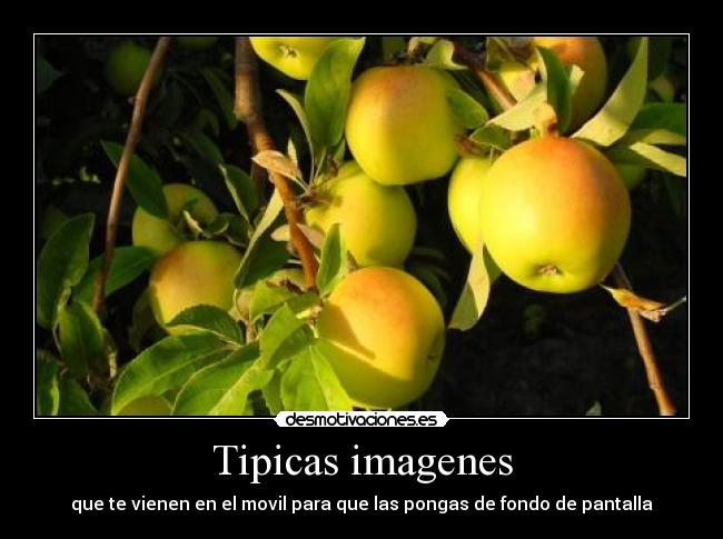 Tipicas imagenes - 