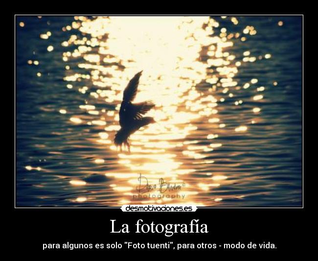 La fotografía -
