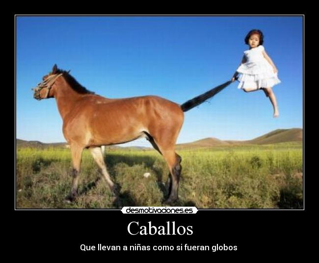 Caballos -