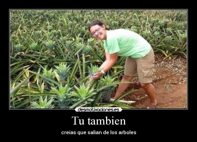 Tu tambien - 