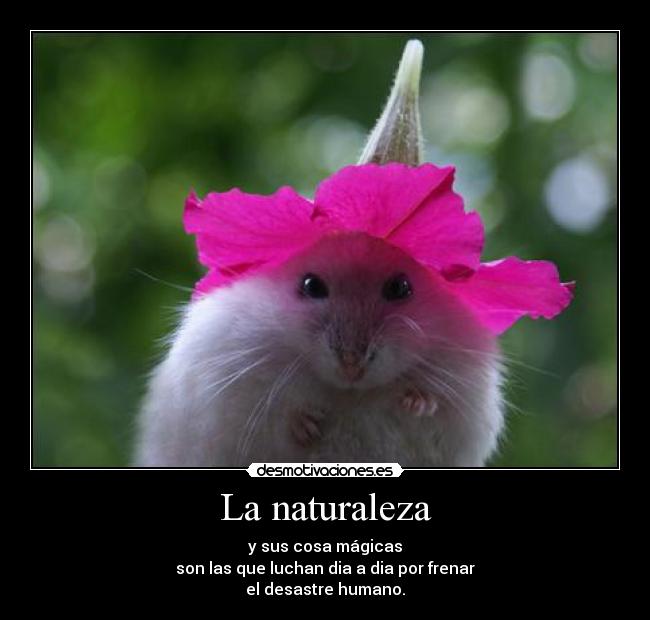 La naturaleza - 