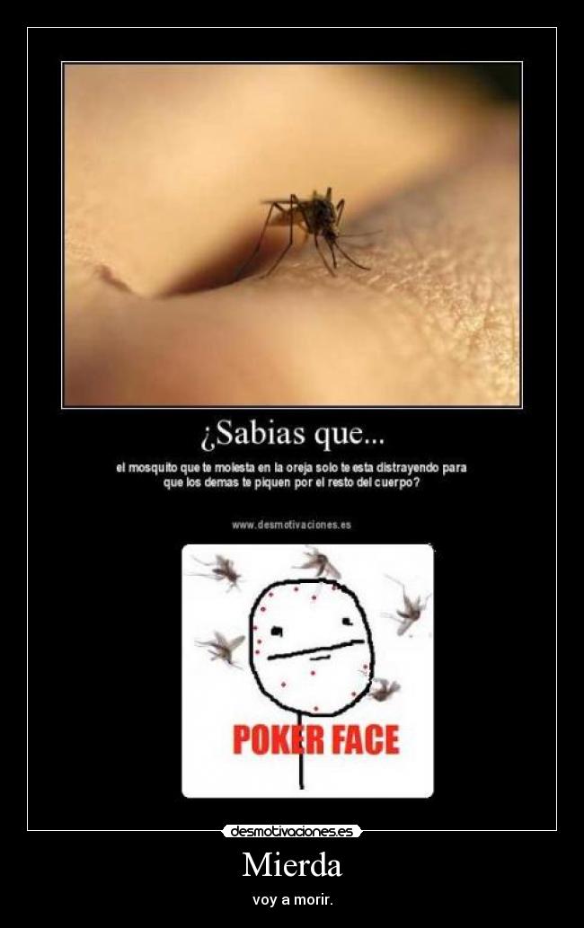 carteles mosquitos desmotivaciones