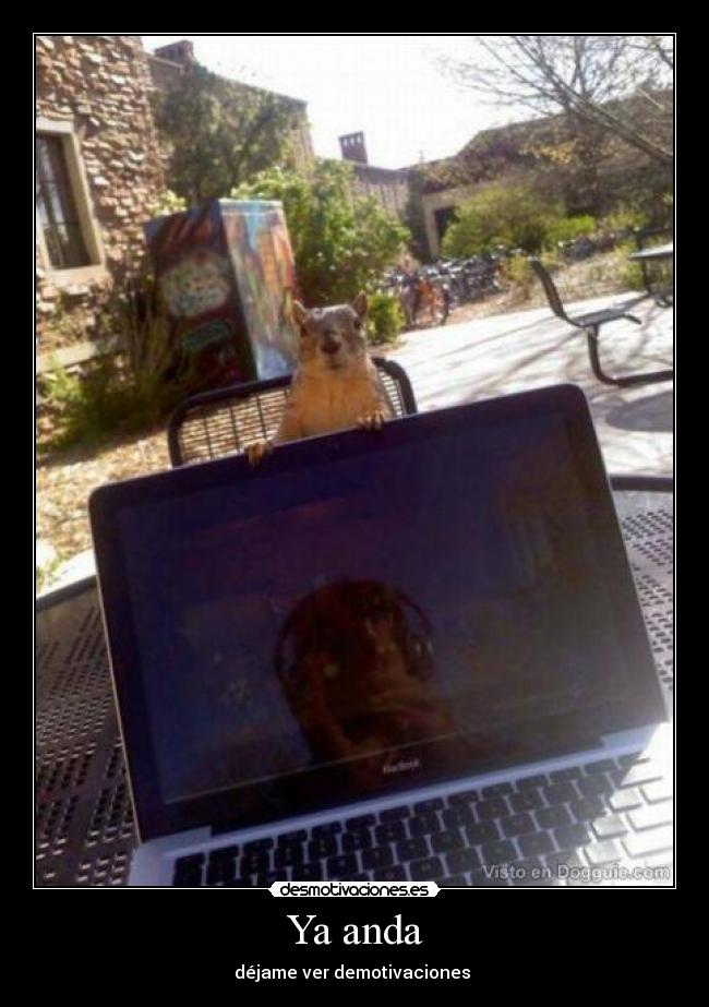 carteles risa desmotivaciones