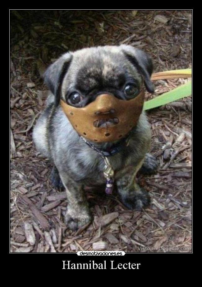 carteles putas desmotivaciones