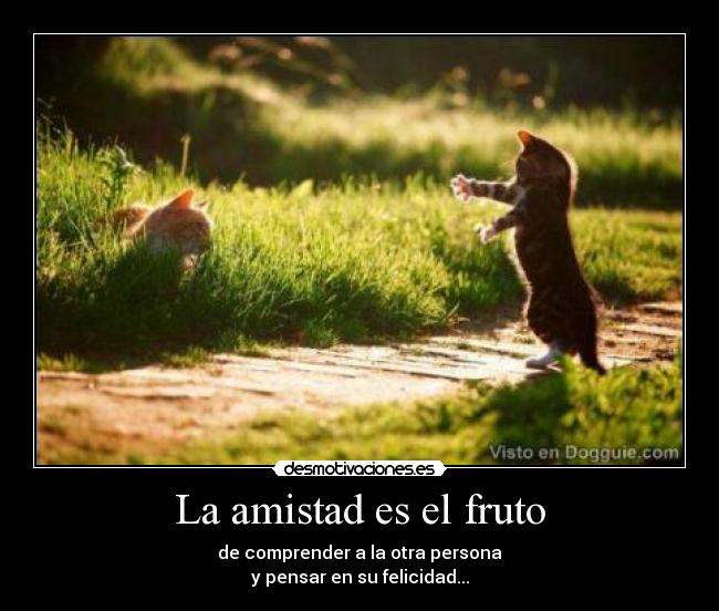 La amistad es el fruto -