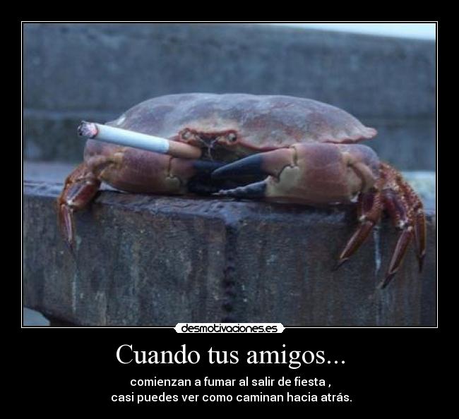 Cuando tus amigos... - comienzan a fumar al salir de fiesta ,
 casi puedes ver como caminan hacia atrás.