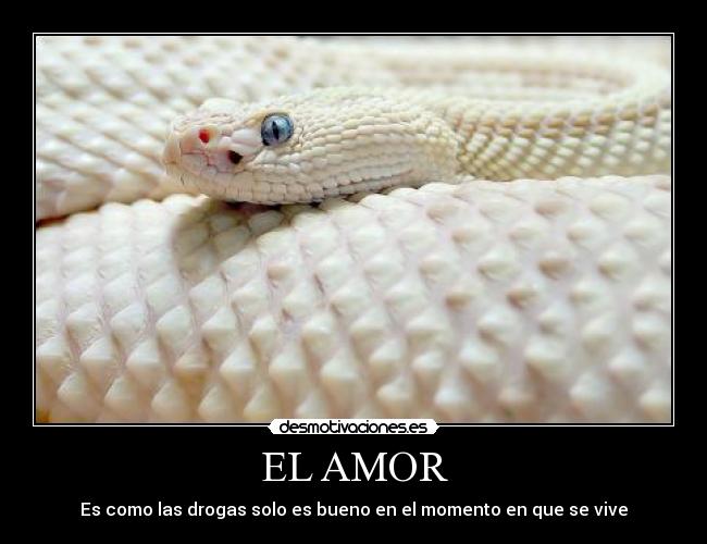 EL AMOR -