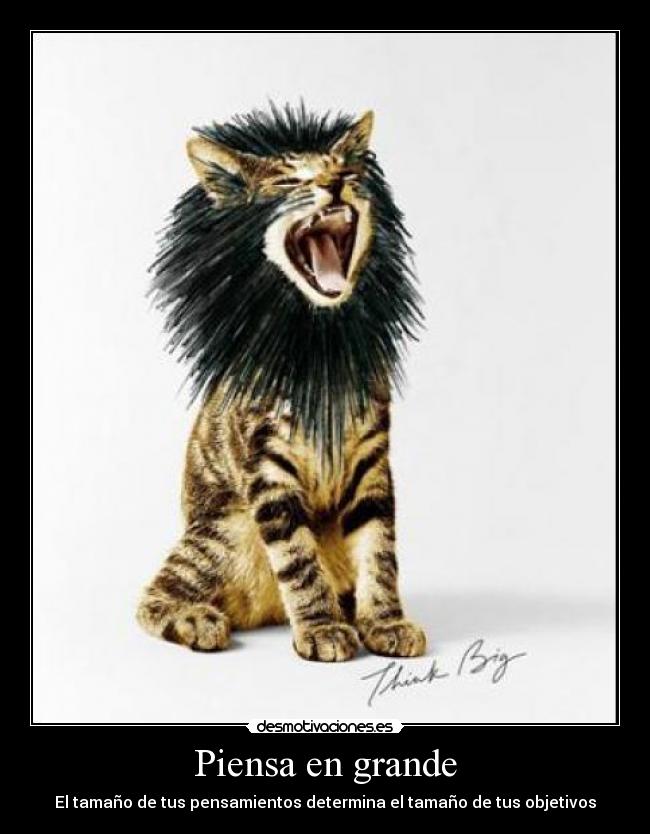 Piensa en grande -