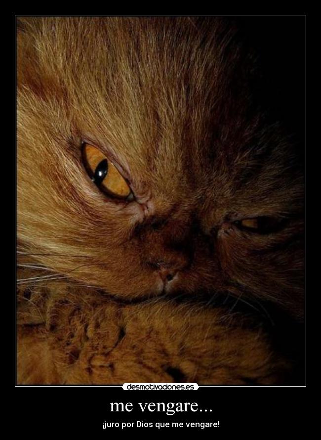 carteles vengare desmotivaciones