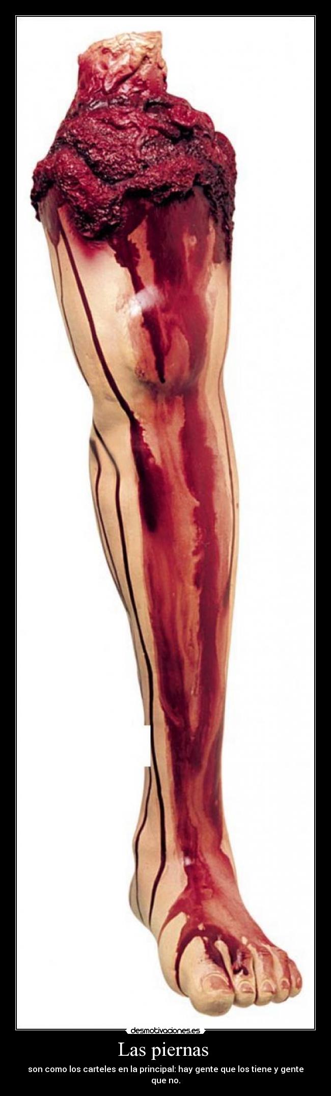 Las piernas  - son como los carteles en la principal: hay gente que los tiene y gente que no.