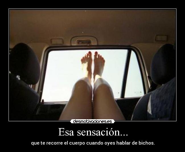 Esa sensación... - que te recorre el cuerpo cuando oyes hablar de bichos.