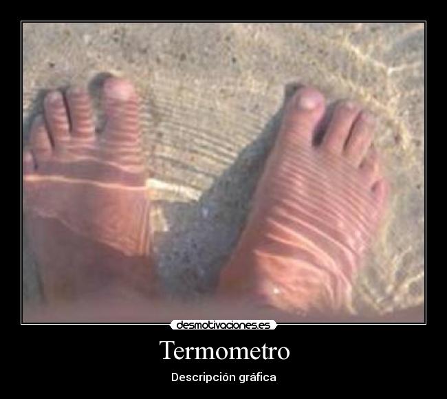 Termometro - Descripción gráfica