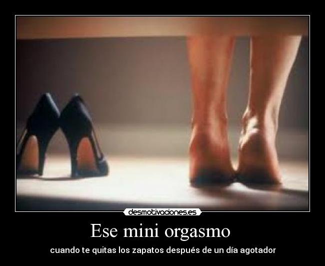 carteles gatussa desmotivaciones