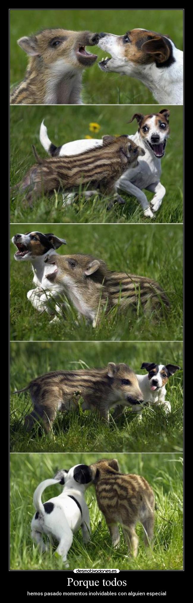 Porque todos - hemos pasado momentos inolvidables con alguien especial