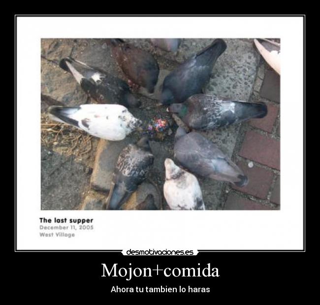 Mojon+comida - Ahora tu tambien lo haras