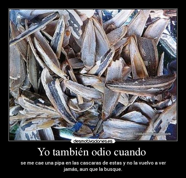 Yo también odio cuando -