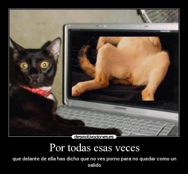 Por todas esas veces - que delante de ella has dicho que no ves porno para no quedar como un salido