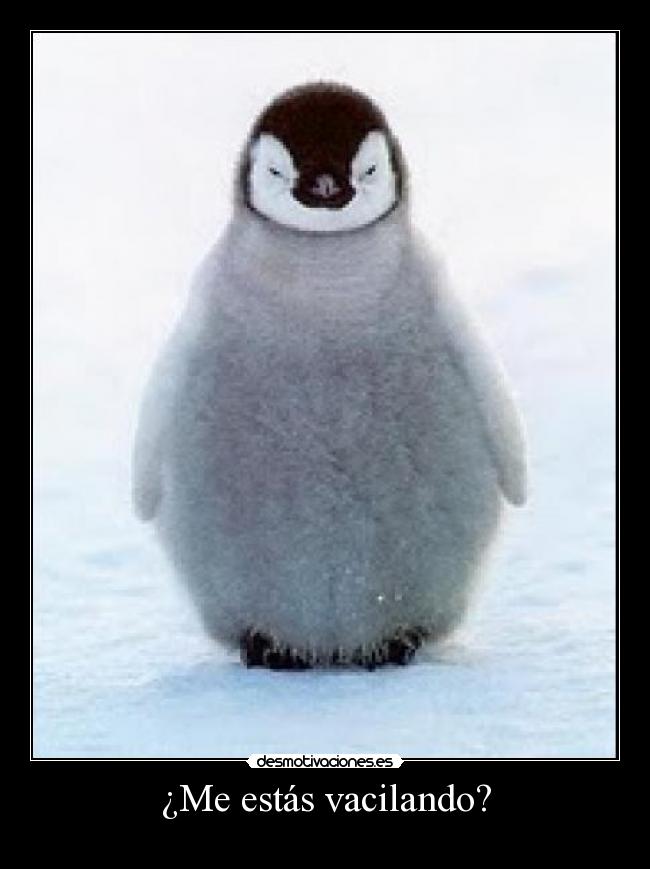 ¿Me estás vacilando? -