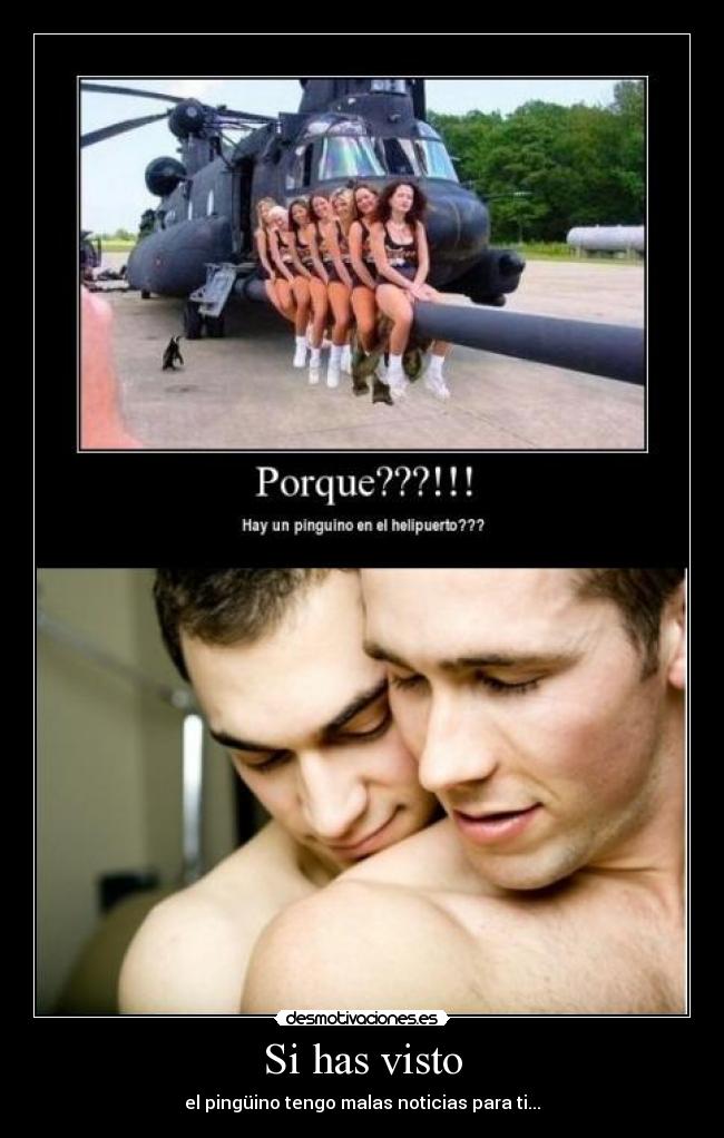 carteles gay pinguino desmotivaciones