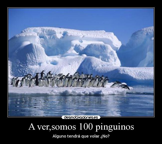 A ver,somos 100 pinguinos - Alguno tendrá que volar ¿No?