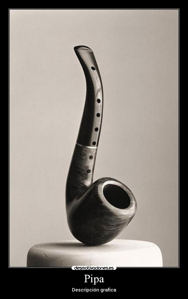 Pipa - 