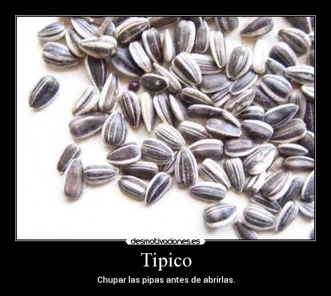 Tipico - 