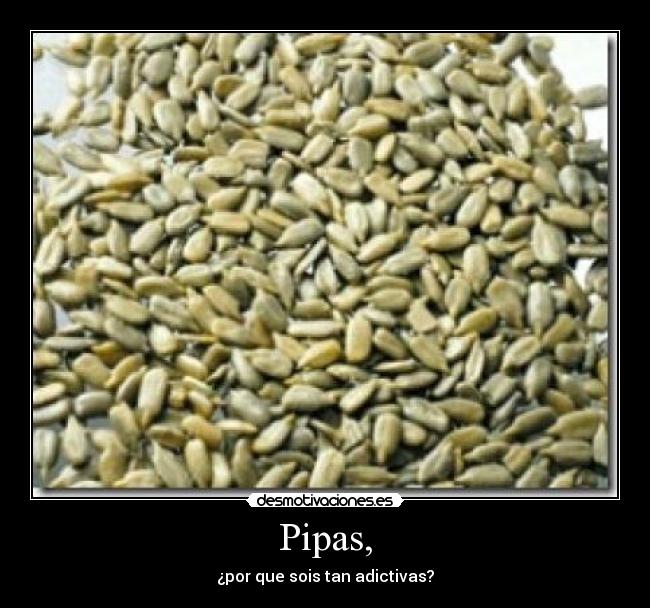 Pipas, -