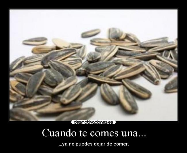 Cuando te comes una... -