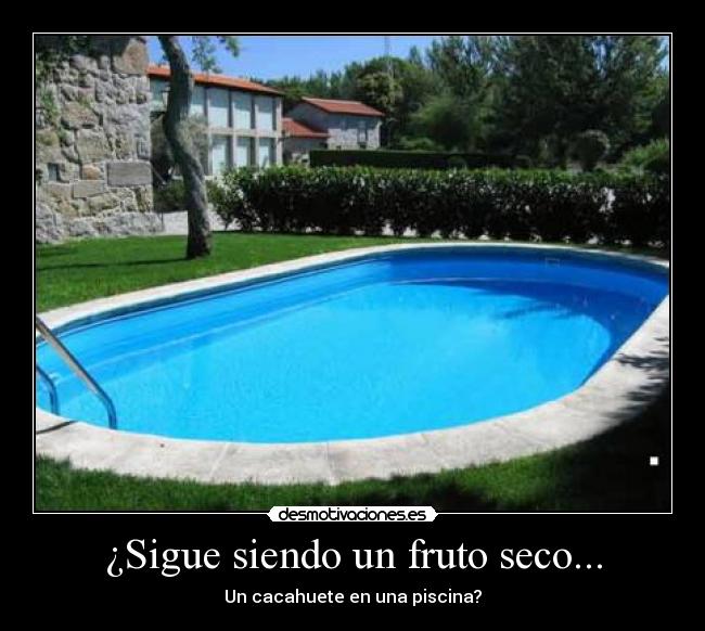 ¿Sigue siendo un fruto seco... - Un cacahuete en una piscina?