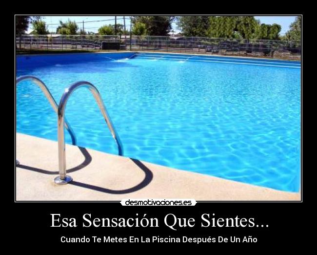Esa Sensación Que Sientes... - Cuando Te Metes En La Piscina Después De Un Año