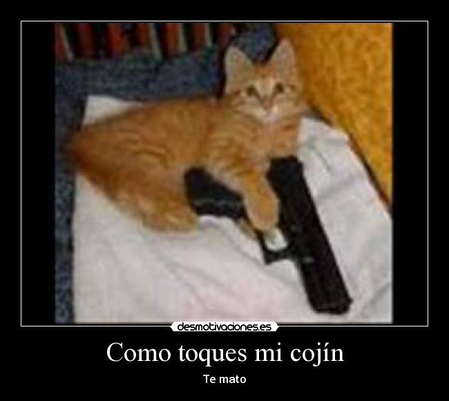 Como toques mi cojín - 