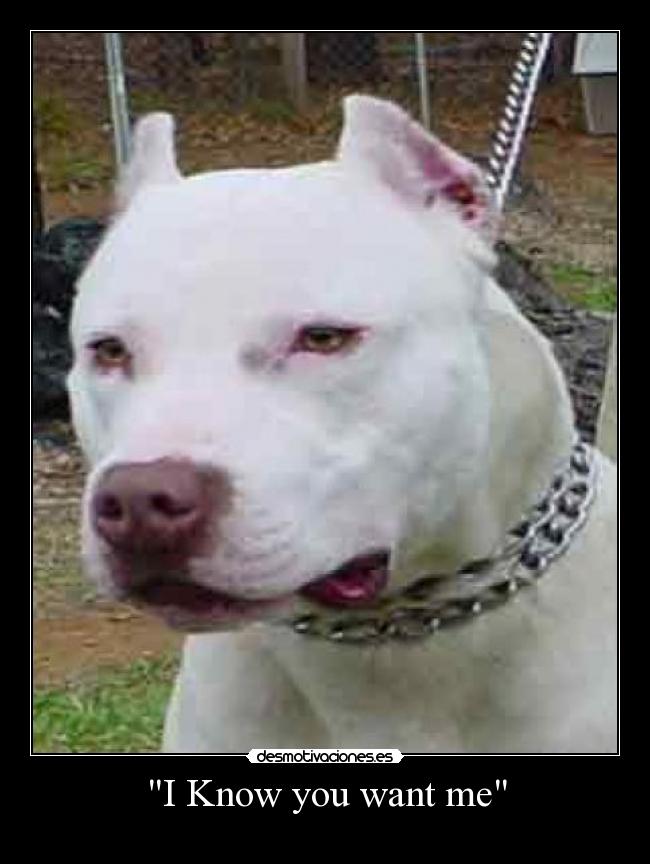 I Know you want me - 