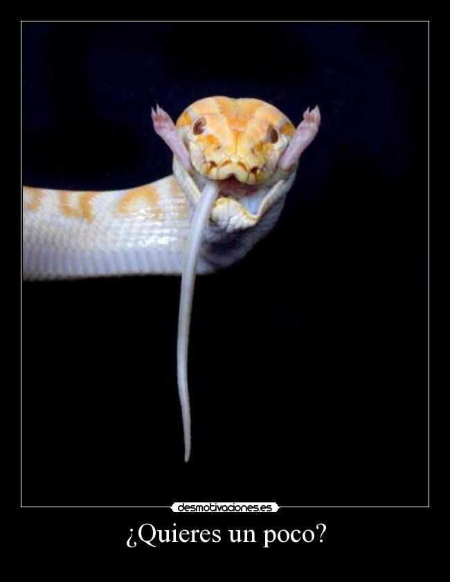 ¿Quieres un poco? - 