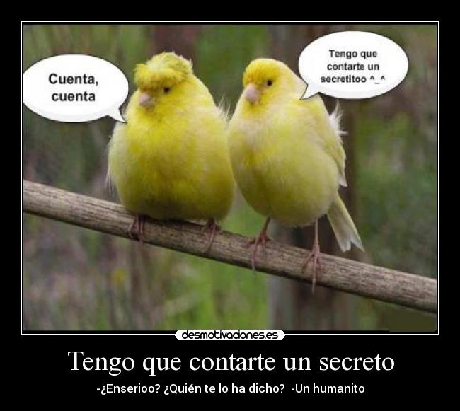 Tengo que contarte un secreto - -¿Enserioo? ¿Quién te lo ha dicho?  -Un humanito