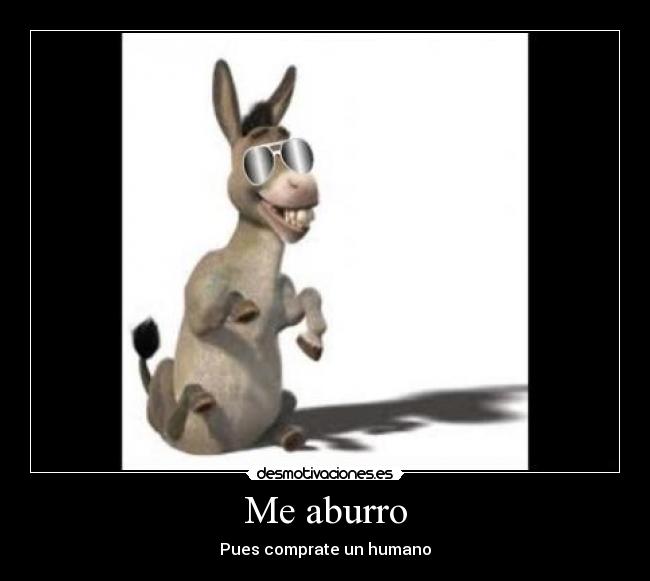 carteles burros desmotivaciones