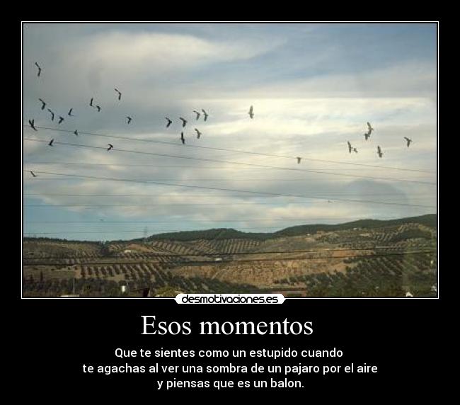 Esos momentos  - Que te sientes como un estupido cuando 
te agachas al ver una sombra de un pajaro por el aire
y piensas que es un balon.