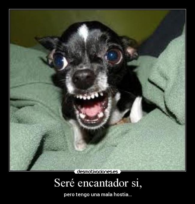 Seré encantador si, -