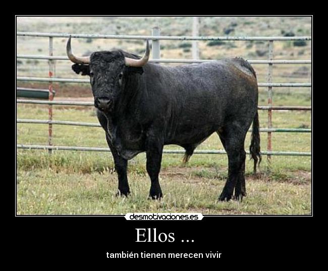 Ellos ... - también tienen merecen vivir