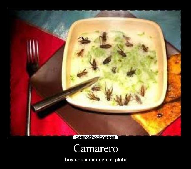Camarero - hay una mosca en mi plato