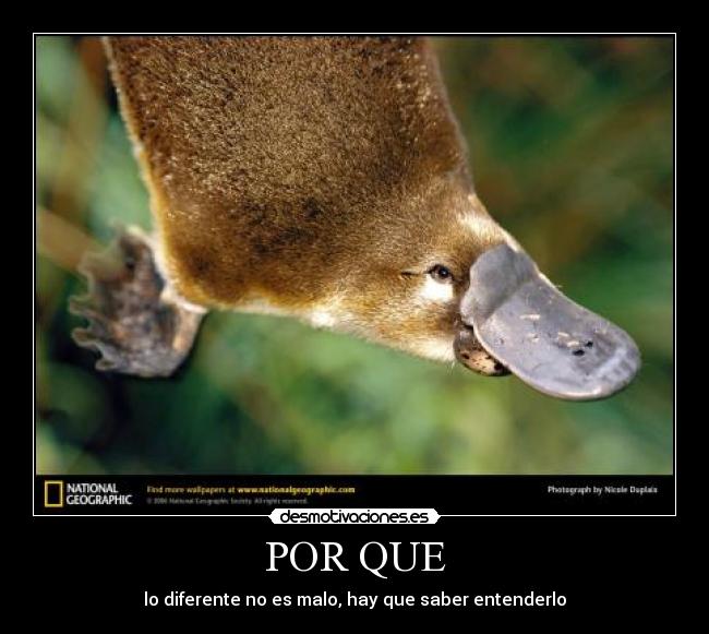 POR QUE - lo diferente no es malo, hay que saber entenderlo