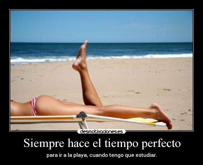 Siempre hace el tiempo perfecto -