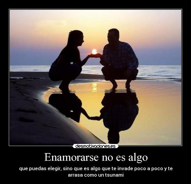 carteles nff16 tolan1 desmotivaciones