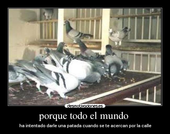 porque todo el mundo - ha intentado darle una patada cuando se te acercan por la calle