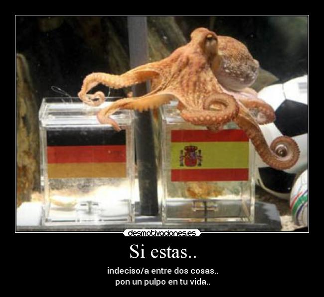 Si estas.. - indeciso/a entre dos cosas..
pon un pulpo en tu vida..