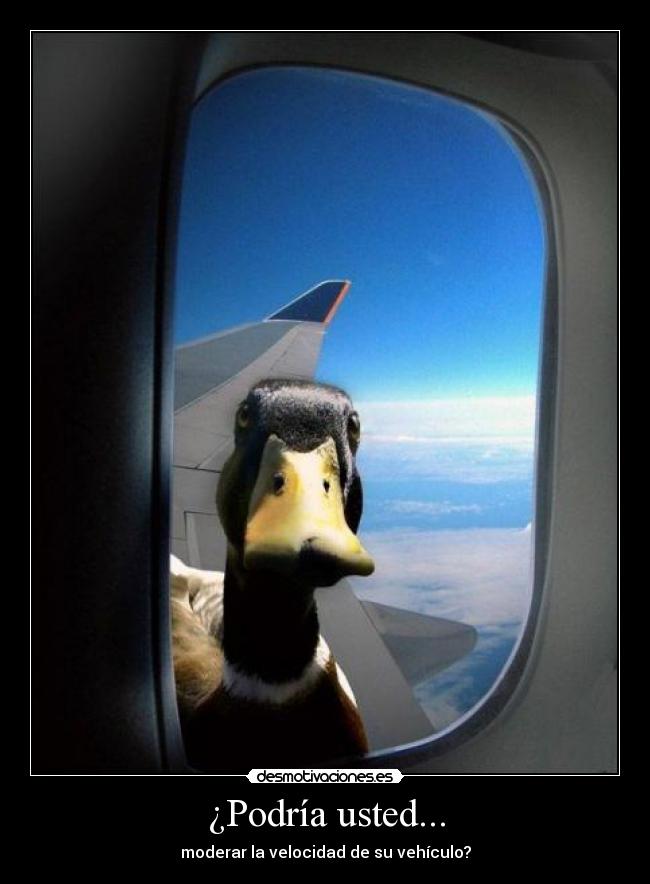 carteles podria usted moderar velocidad vehiculo desmotivaciones