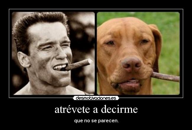 atrévete a decirme - 